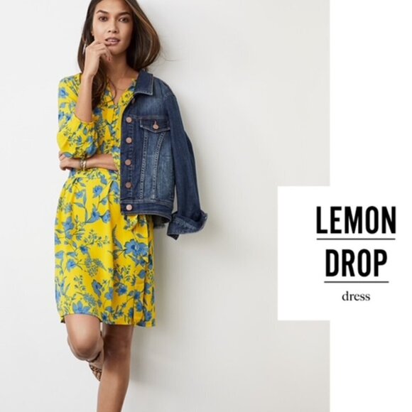 CAbi Lemon Drop Dress NWOT Size XS - Picture 1 of 5